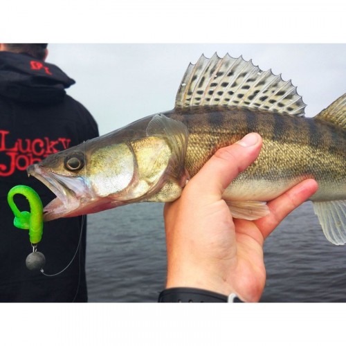 Виброхвосты съедобные  LJ Pro Series MINNOW 5,5 T18 4шт.