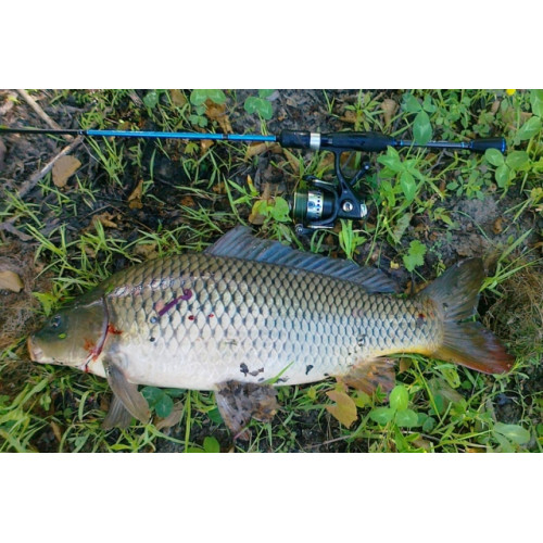 Приманка Crazy Fish ACTIVE SLUG 2-7.1-6-1