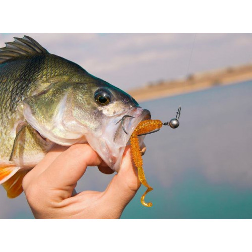 Приманка Crazy Fish ACTIVE SLUG 4" 31-100-9-6