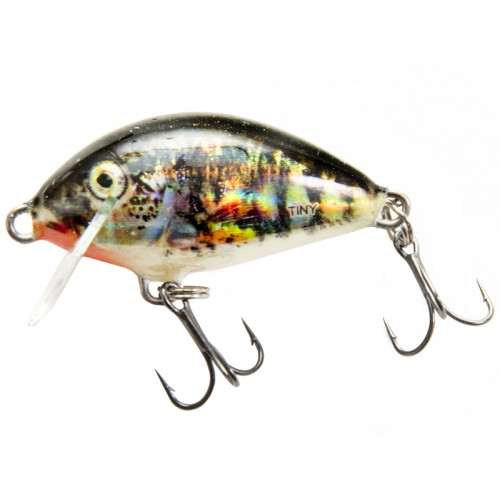 Воблер плавающий Salmo TINY F 03/COC