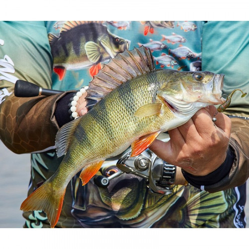 Джерси VEDUTA дышащая UPF50+ Perch Master L женская